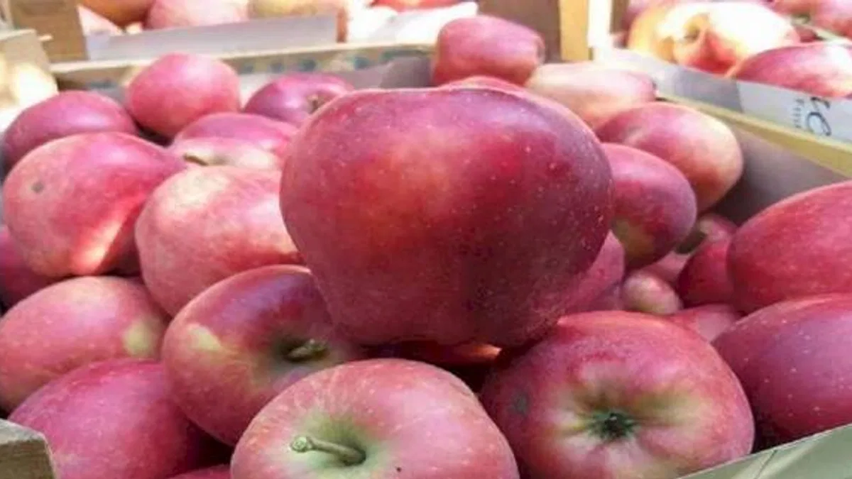 Üretici ile market farkı büyük... En fazla fiyat farkı elmada!