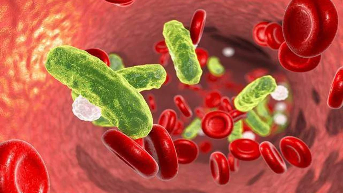 Sepsis hastalığına dikkat!