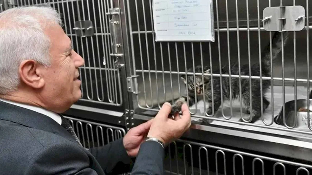 Bursa Büyükşehir'den 'yuvanız yuvası olsun' projesi