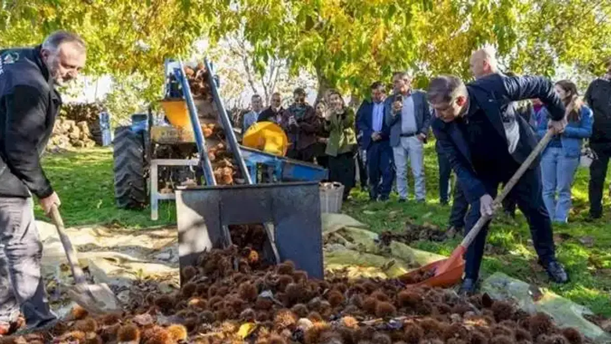 Sofrada adalet için İzmir atağı