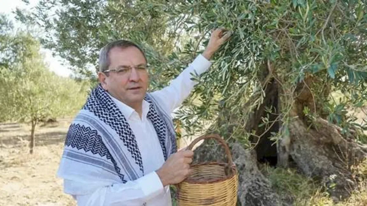 Ayvalık, zeytin ve zeytinyağının buluşma noktası olacak