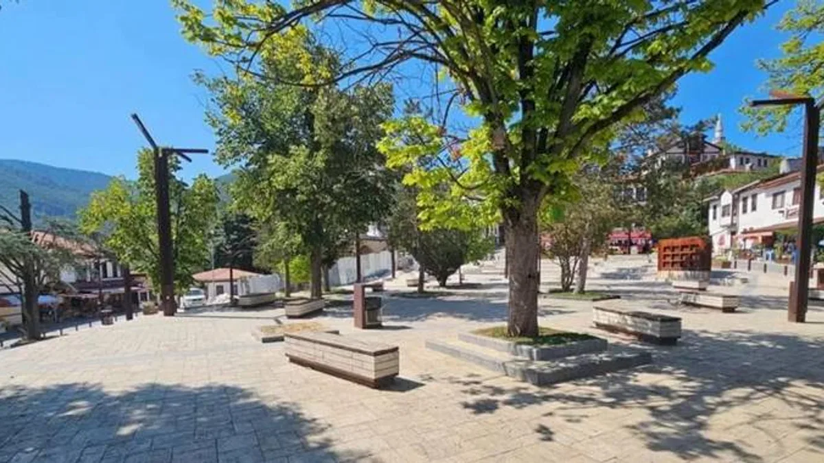 Sakarya Taraklı’da tarihi çınar yeniden hayat buluyor