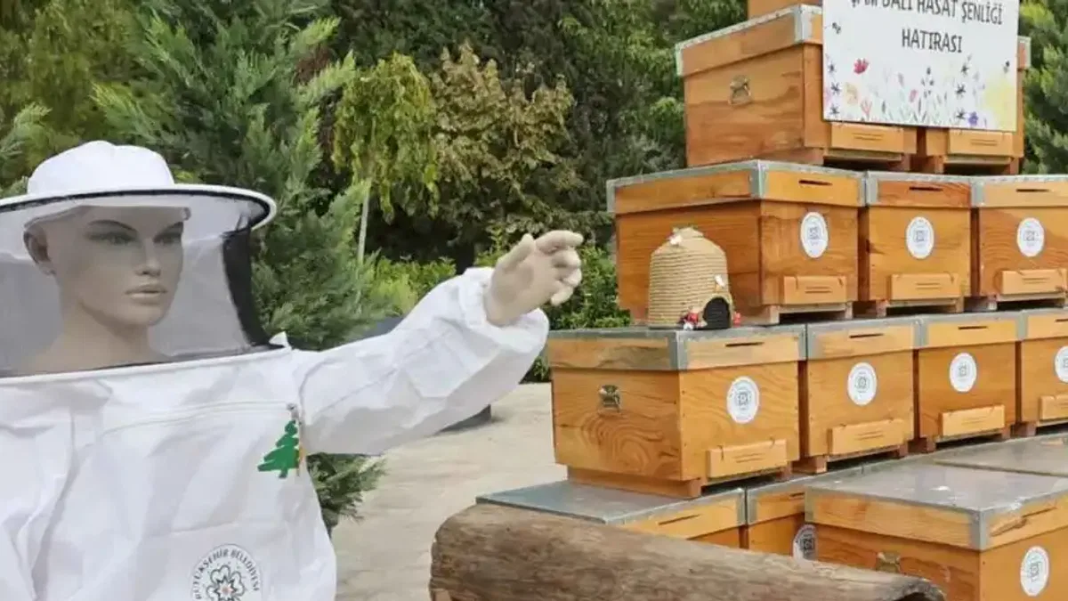Muğla’da çam balı hasadı coşkuyla kutlandı