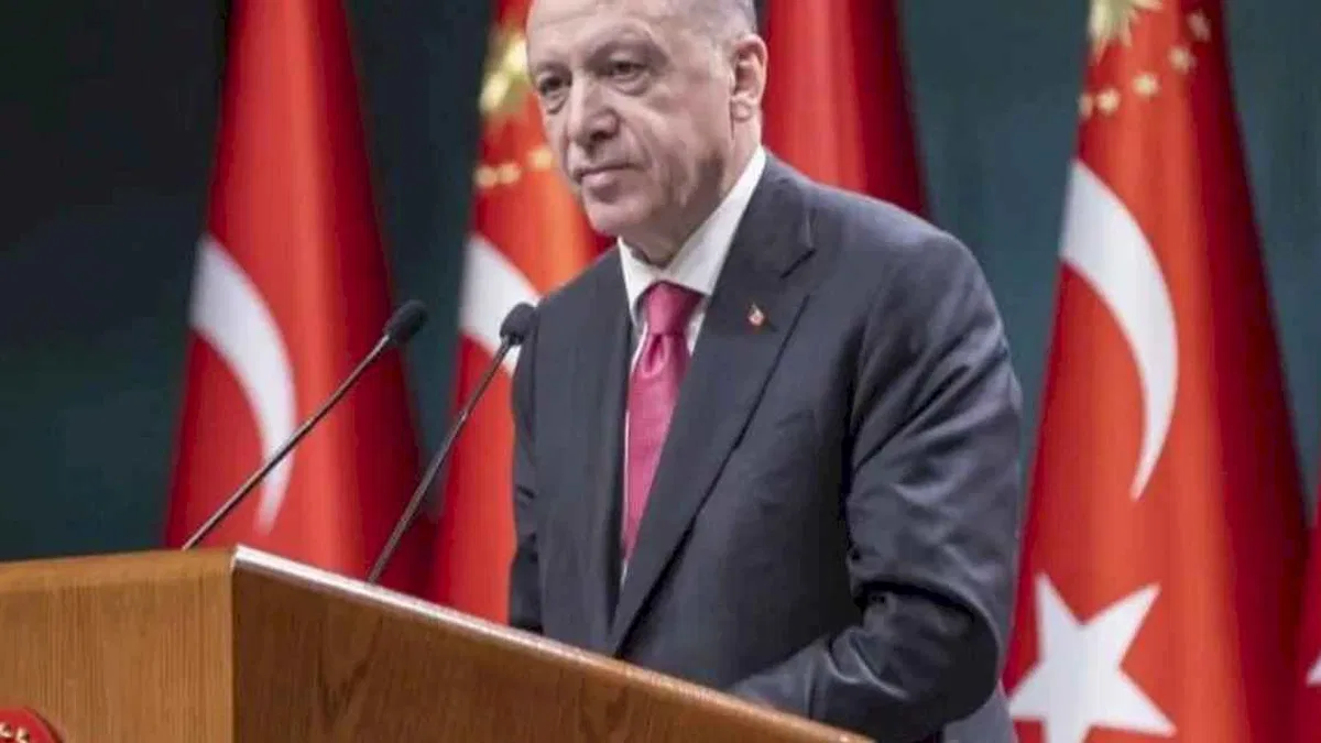 Cumhurbaşkanı Erdoğan: FETÖ'cü hainleri rahatsız etmeyi sürdüreceğiz
