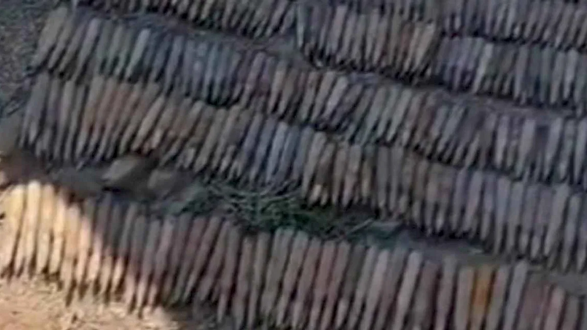 2 bin 300 adet Doçka mühimmatına imha!