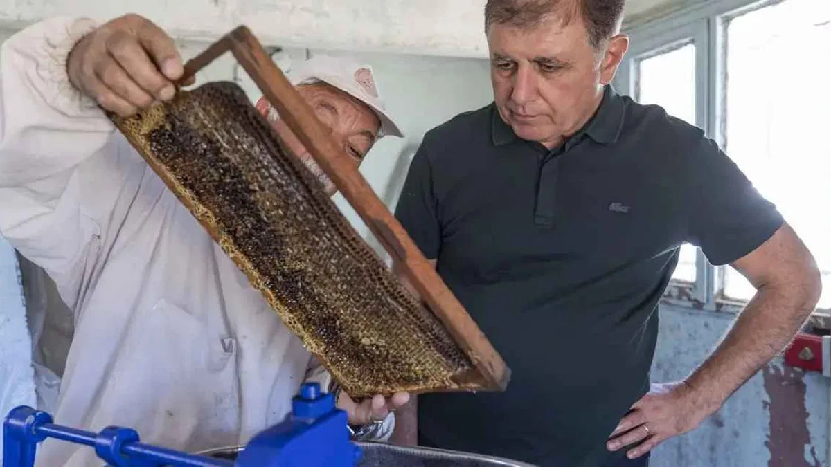 İzmir'de Başkan Tugay üreticiyle bal sağdı