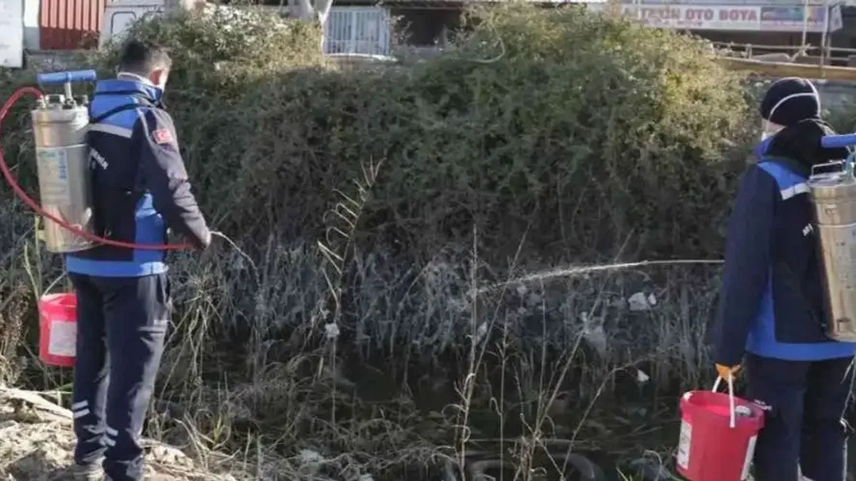 Muğla'da sivrisinek ile mücadele yıl boyunca devam ediyor