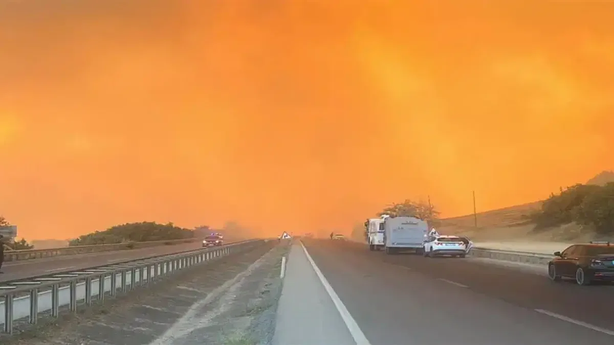 Bursa Yenişehir'de orman yangınına yoğun müdahale