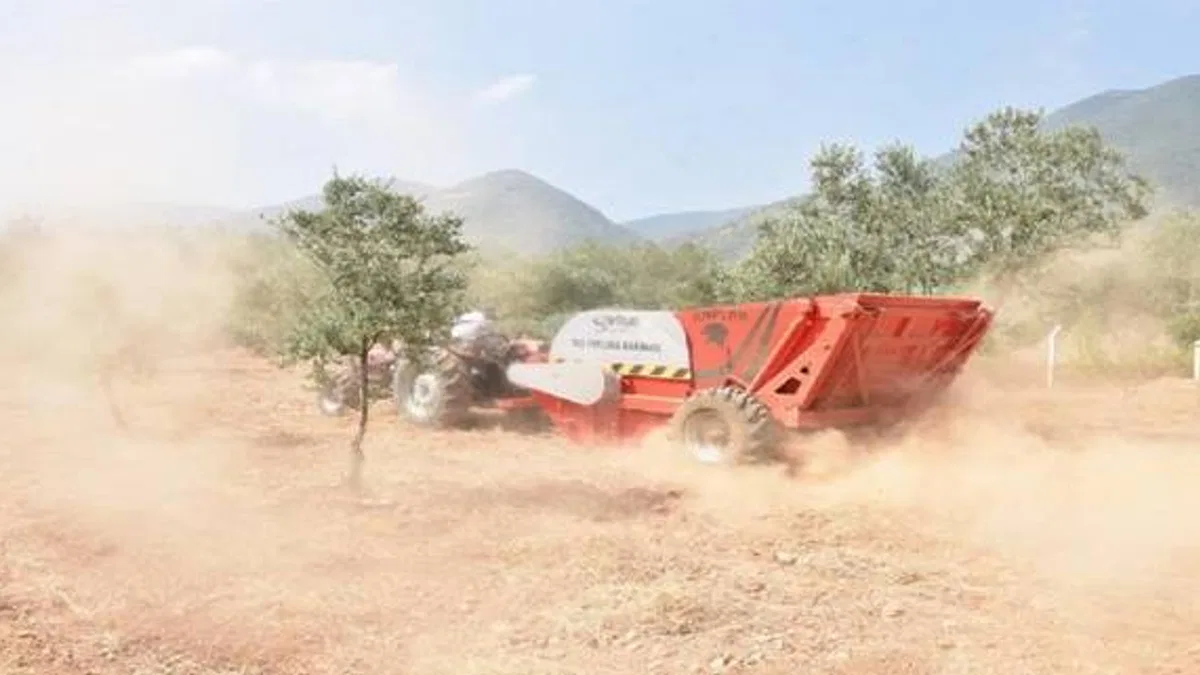 Manisa'nın taşlı arazileri verimli tarlalara dönüşüyor
