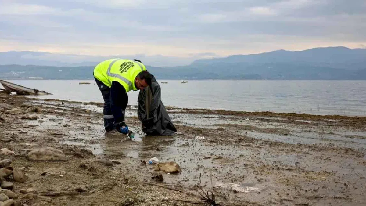 Sapanca Gölü'nde ekosistemi koruyan kıyı temizliği