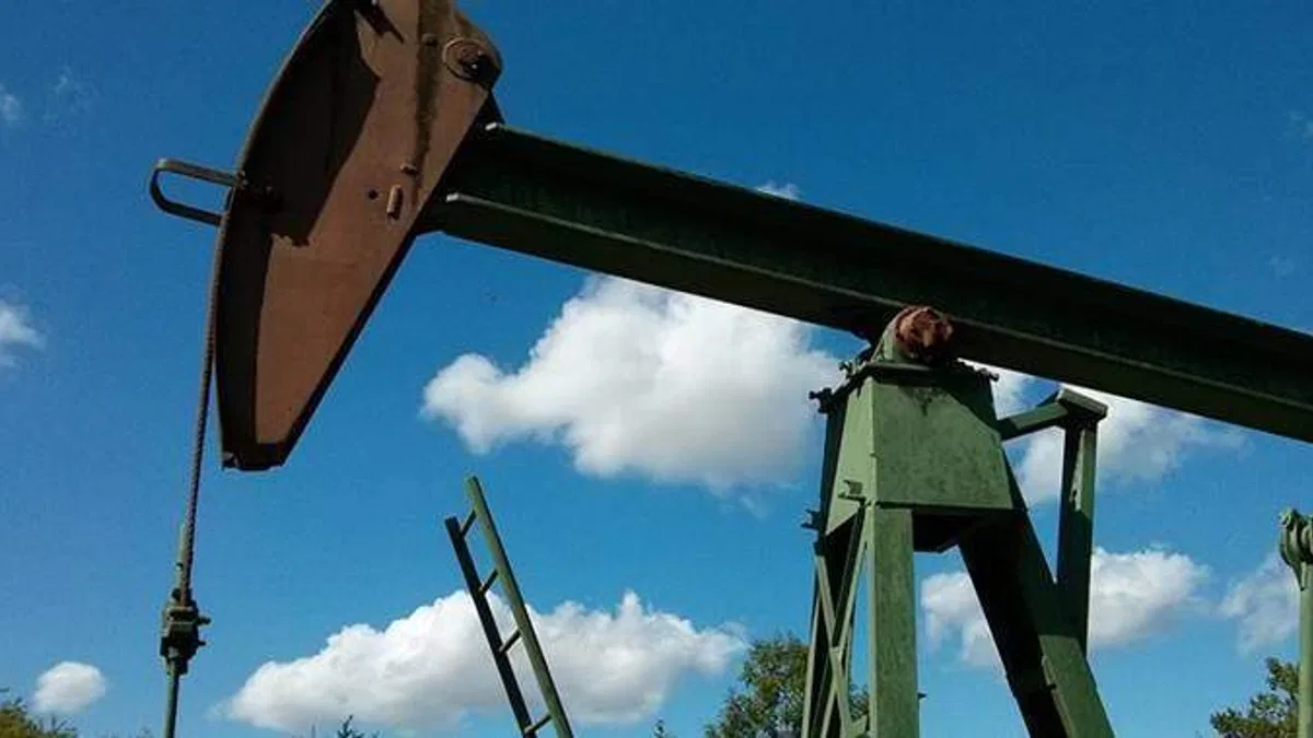 Rus petrolüne tavan fiyat uygulanırsa üretimi azaltabiliriz