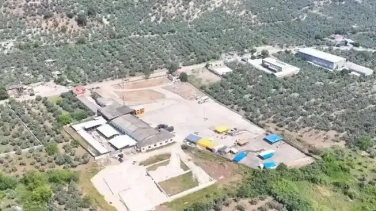 Mudanya Kurban Pazarı yeni yerinde