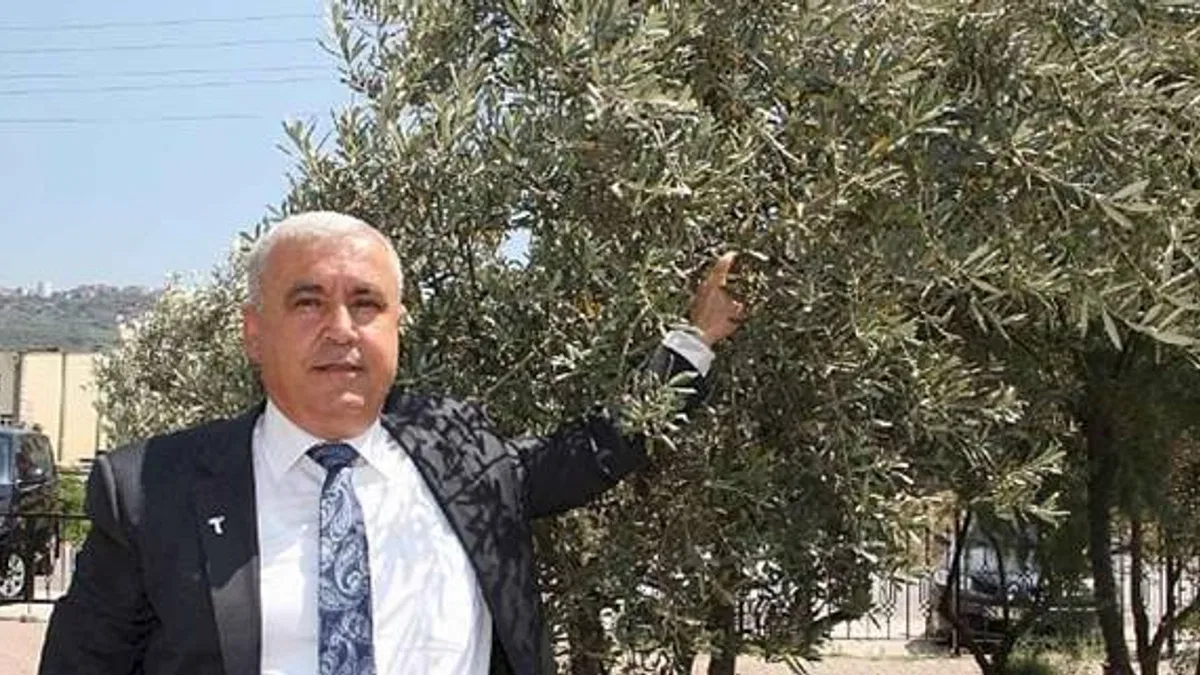 Sofralık zeytin ihracatında tarihi rekor... Sofralık zeytin ihracatı 210 milyon dolara ulaştı