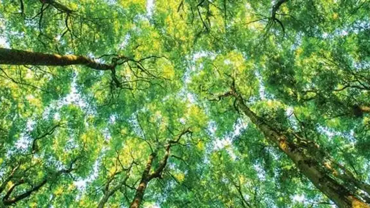 Schneider Electric'in Evreux Dağıtım Merkezi, “Sustainability Lighthouse” İlan Edildi