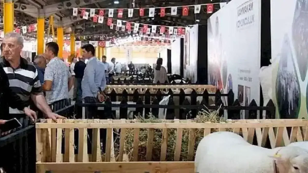 İnegöl'de Küçükbaş Hayvancılık Festivali Başladı