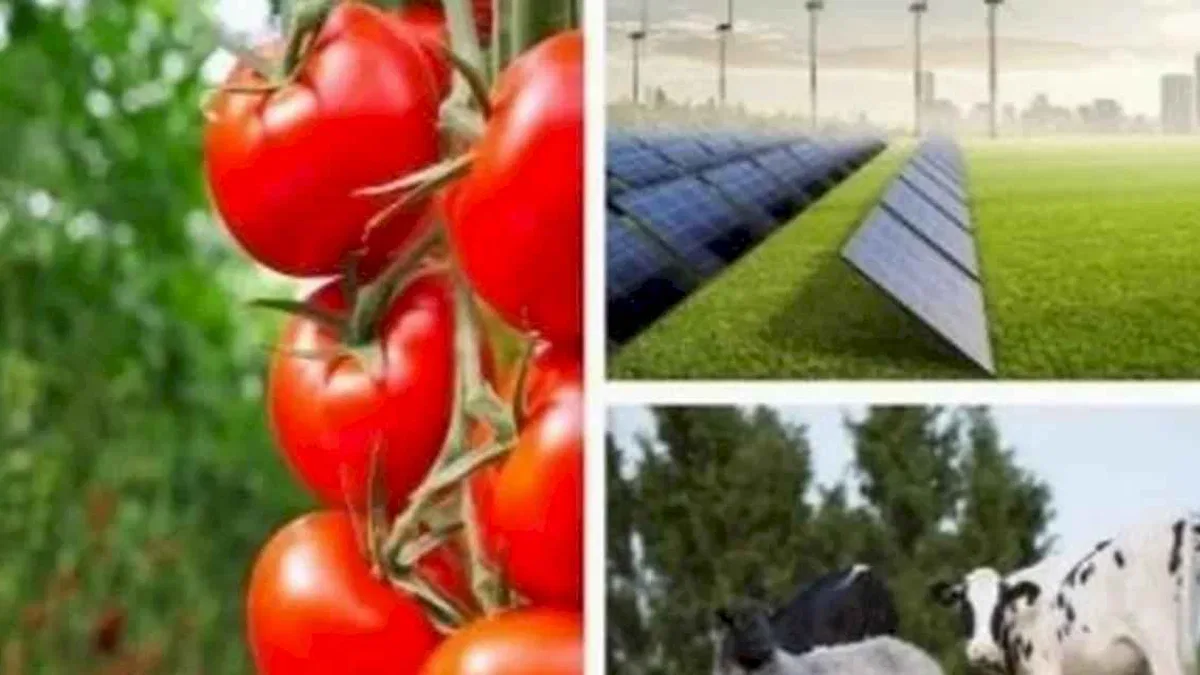 Tarıma dayalı yatırımlarıda hibelere ilişkin kriterler netleşti