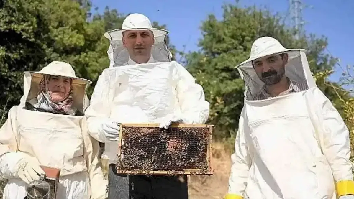 Bornova'da bal gibi proje