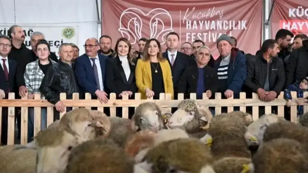 Trakya'nın ilk Küçükbaş Hayvancılık Festivali Malkara'da coşkuyla başladı