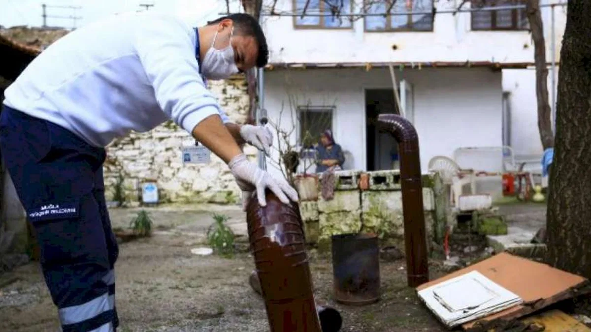 Muğla kırsaldaki çınarların yanında