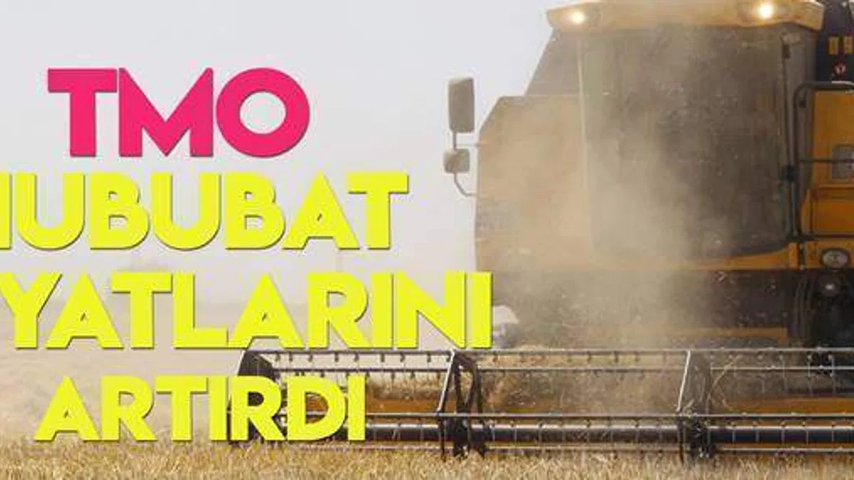 TMO hububat alım fiyatlarını artırdı