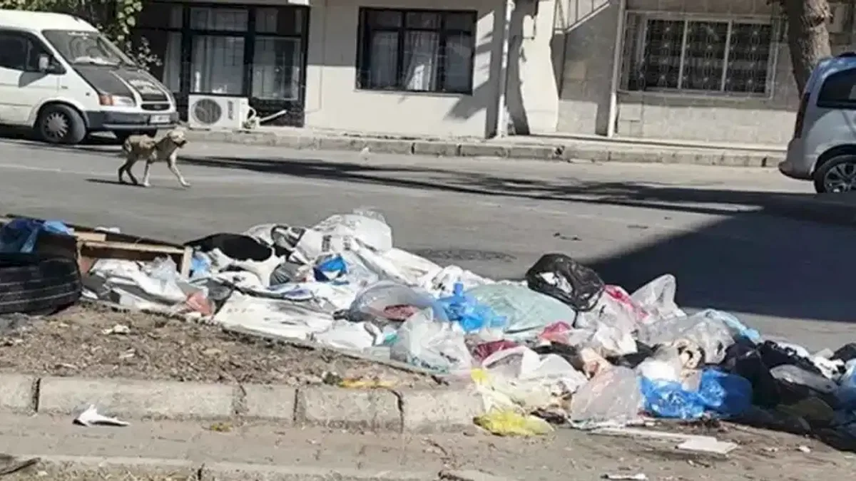 İzmir Buca’da çöp krizi! Mahalleler çöplüğe döndü, vatandaşlar isyanda