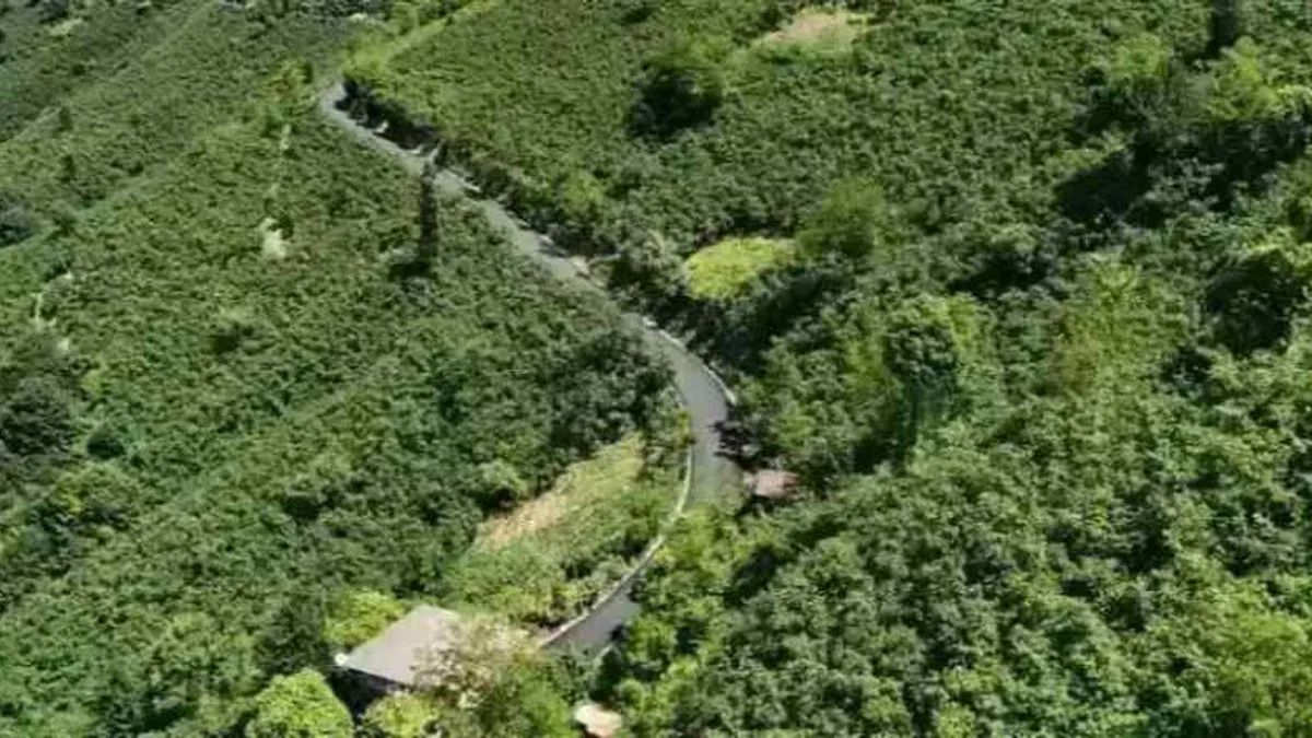 Ordu'da 3,5 kilometrelik asfalt tamamlandı