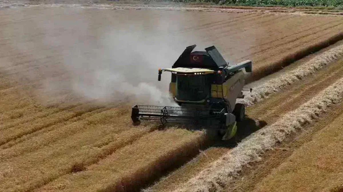 Konya'da Altınekin'de ilk hasat