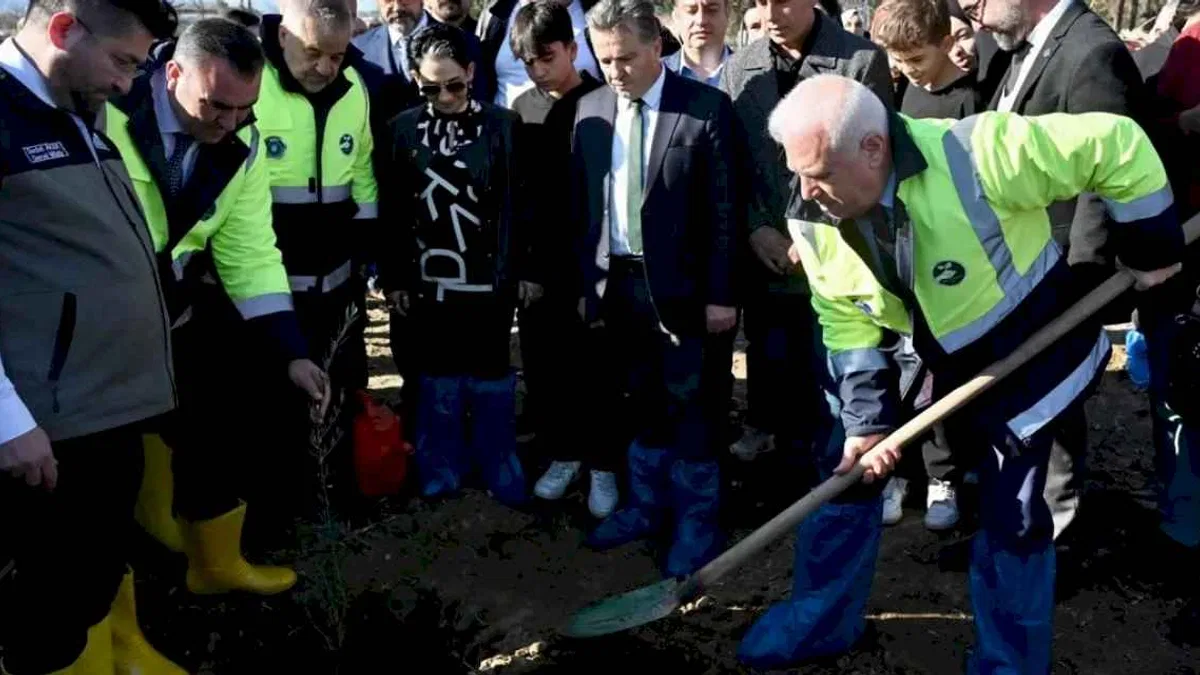 Bursa'da zeytin fidanları toprakla buluştu