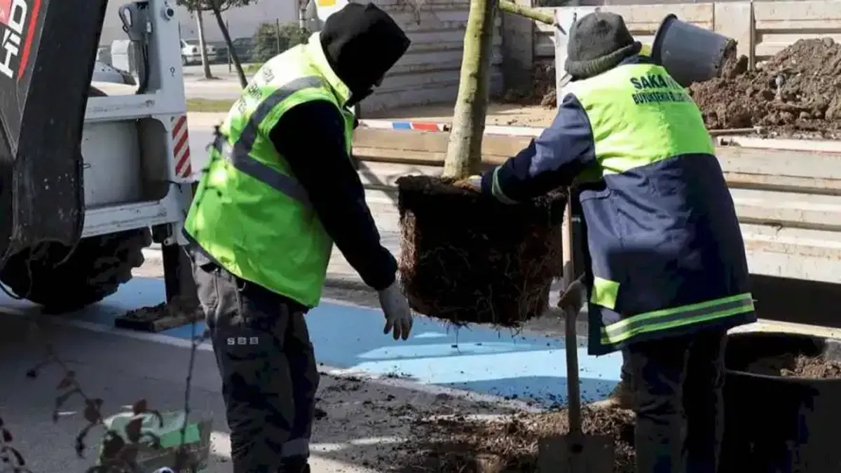 Sakarya'da yeşil’ dokunuşla şehrin çehresini değiştiriyor