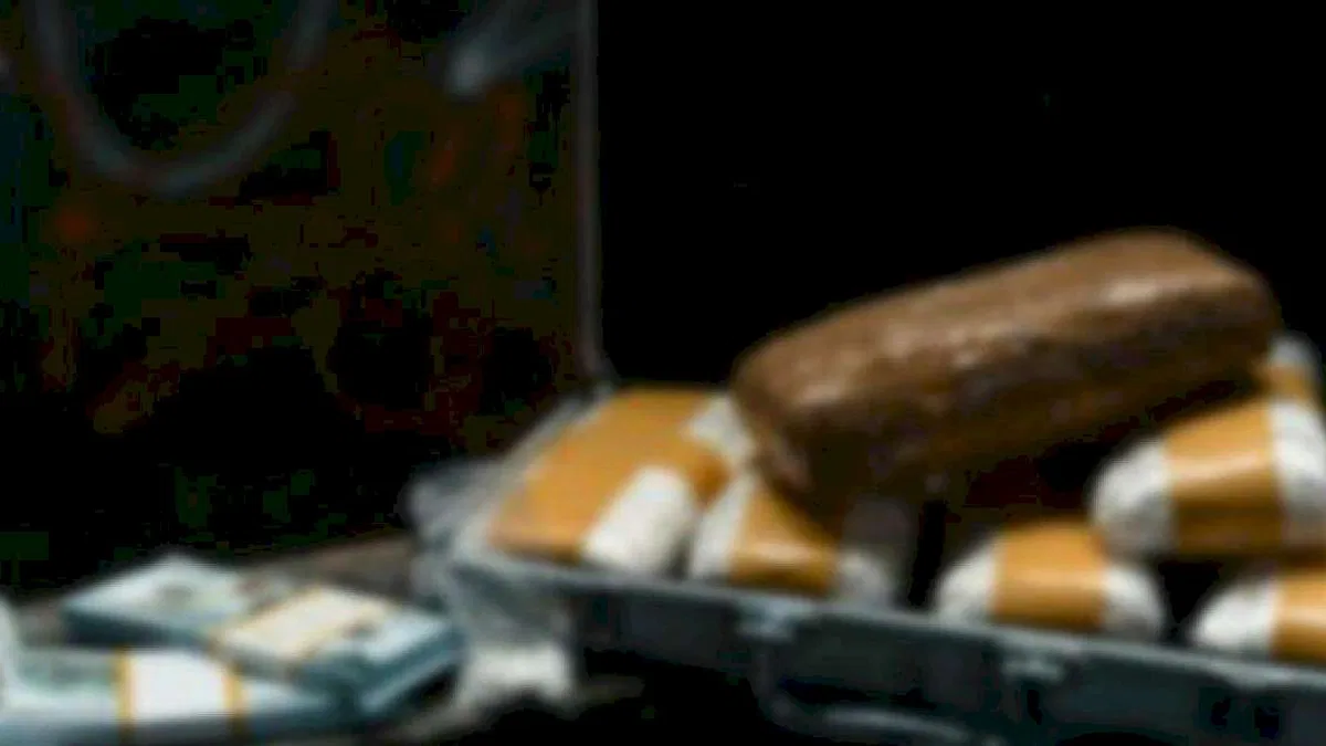 364 zehir taciri yakalandı