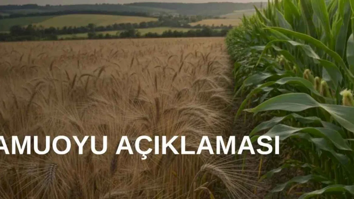 TMO’dan arpa ve mısır kontenjanlarıyla ilgili açıklama