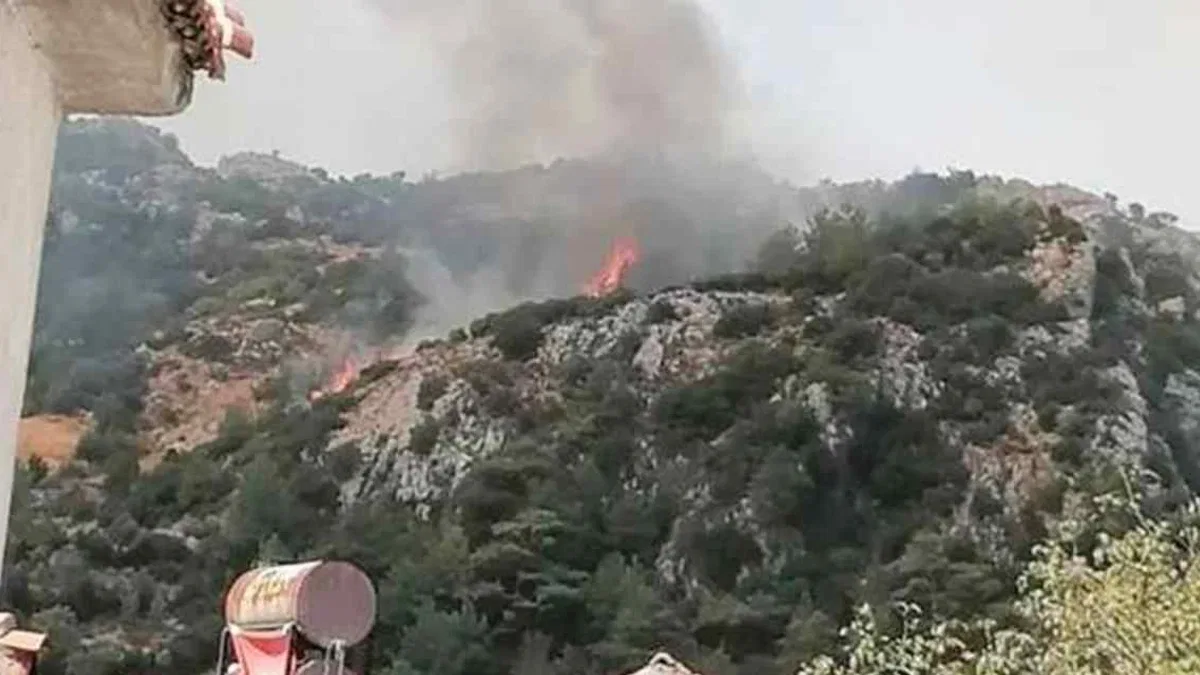Üç ilde orman yangınları
