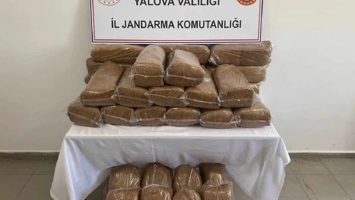 Yalova'da 160 kilogram bandrolsüz tütün ele geçirildi