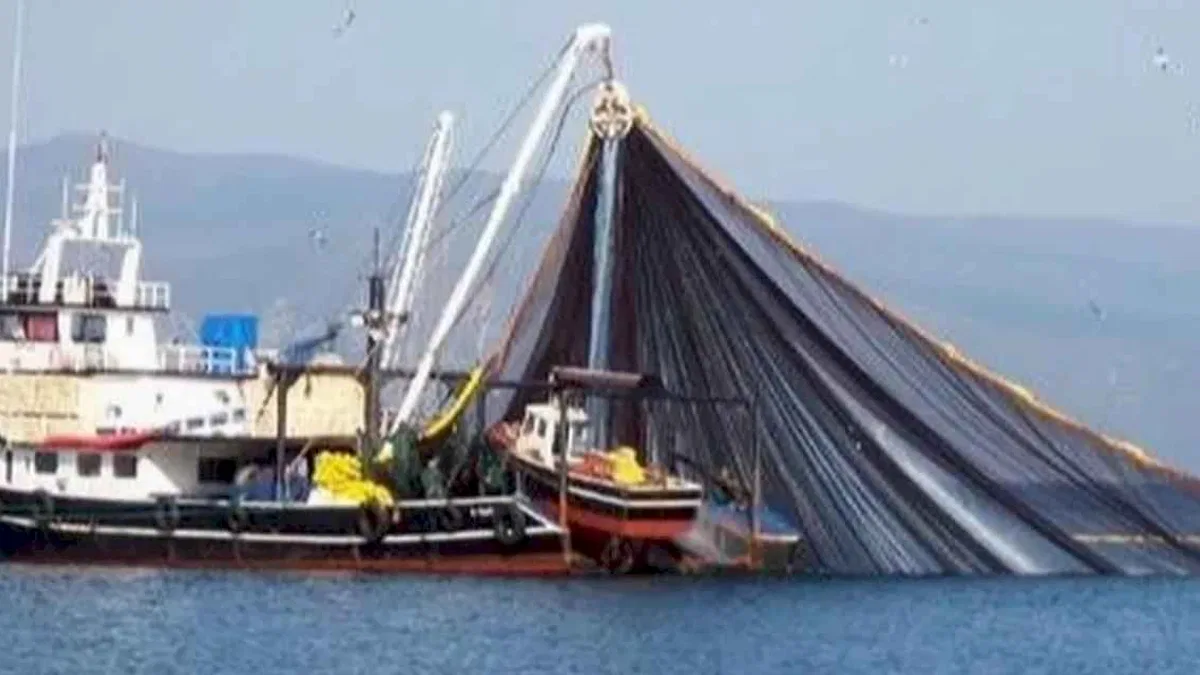 Balıkçılara dev destek! Balıkçılık gemi sayısı yüzde 65 arttı