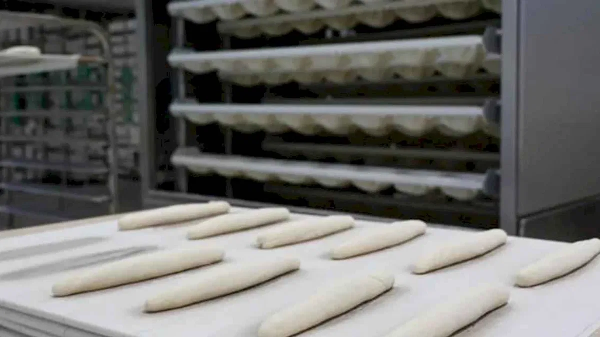 Antalya Halk Ekmek’ten glütensiz üretim müjdesi