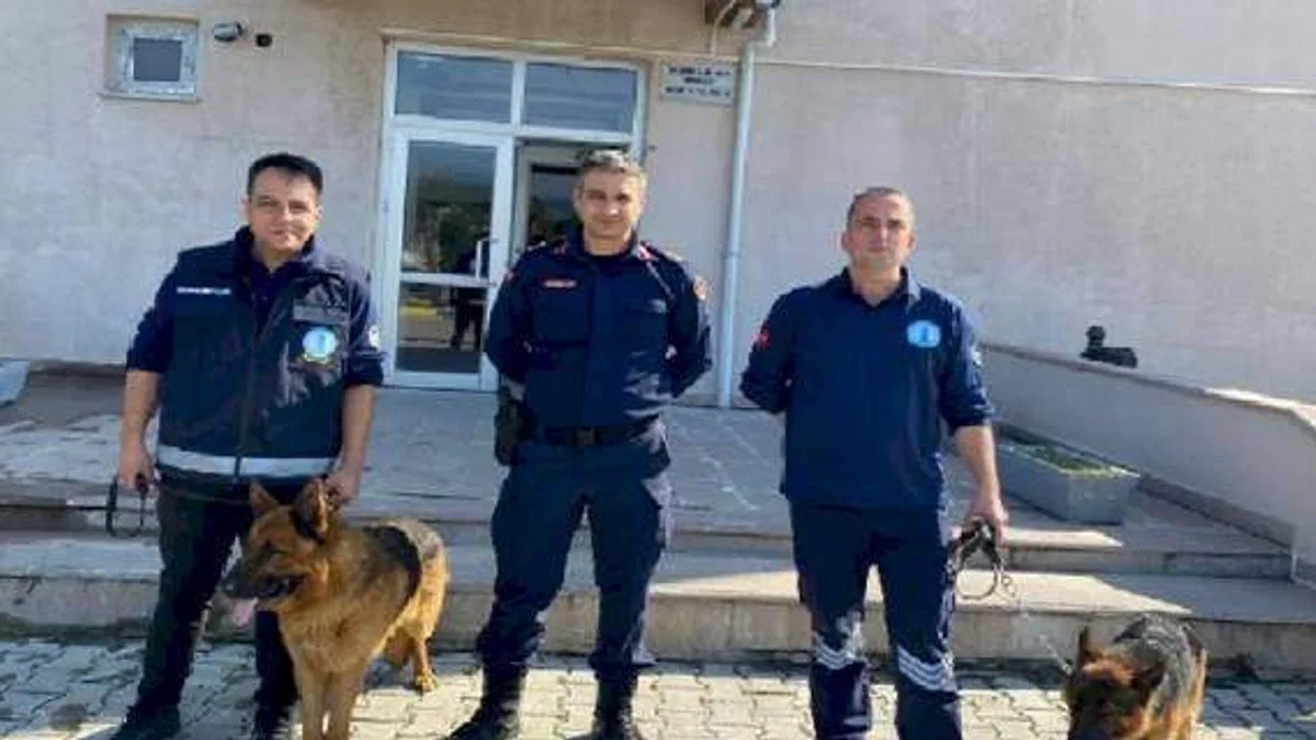 Manisa'da iki can dostunu Jandarma sahiplendi