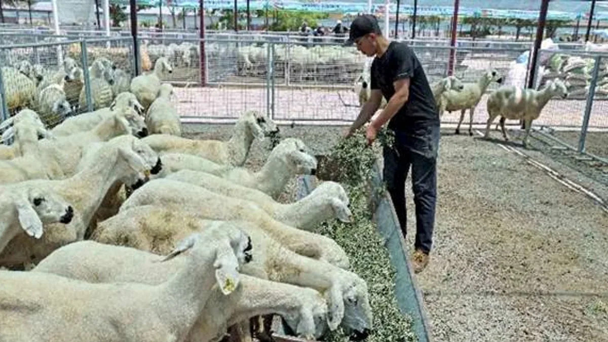 “Kayseri'de bir numara Talas Belediyesi”