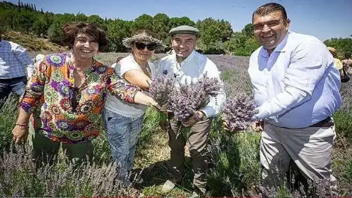 Soyer'den üreticilere lavanta işleme tesisi müjdesi