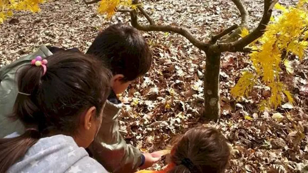 ÇEKÜL Bilgi Ağacı’na başvurular başladı