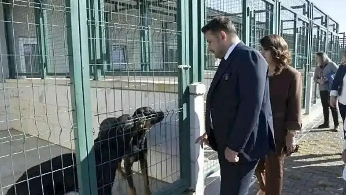 Patili Dostlara Miniklerden Ziyaret