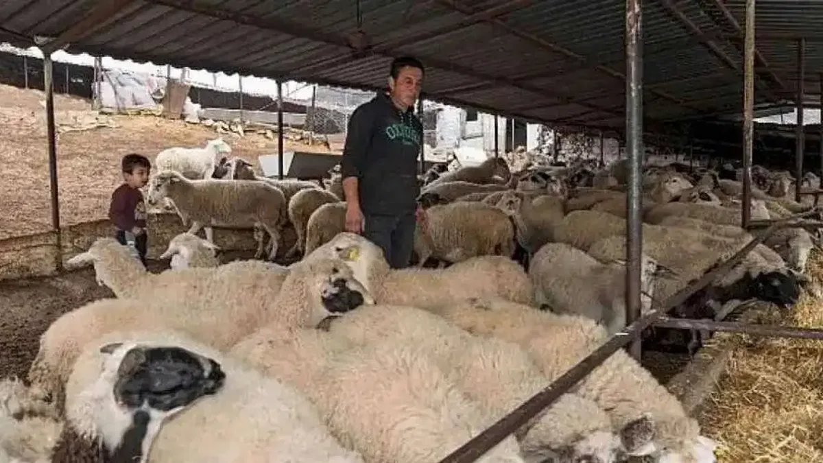 Yangın mağduru çiftçilere 225 ton yem desteği