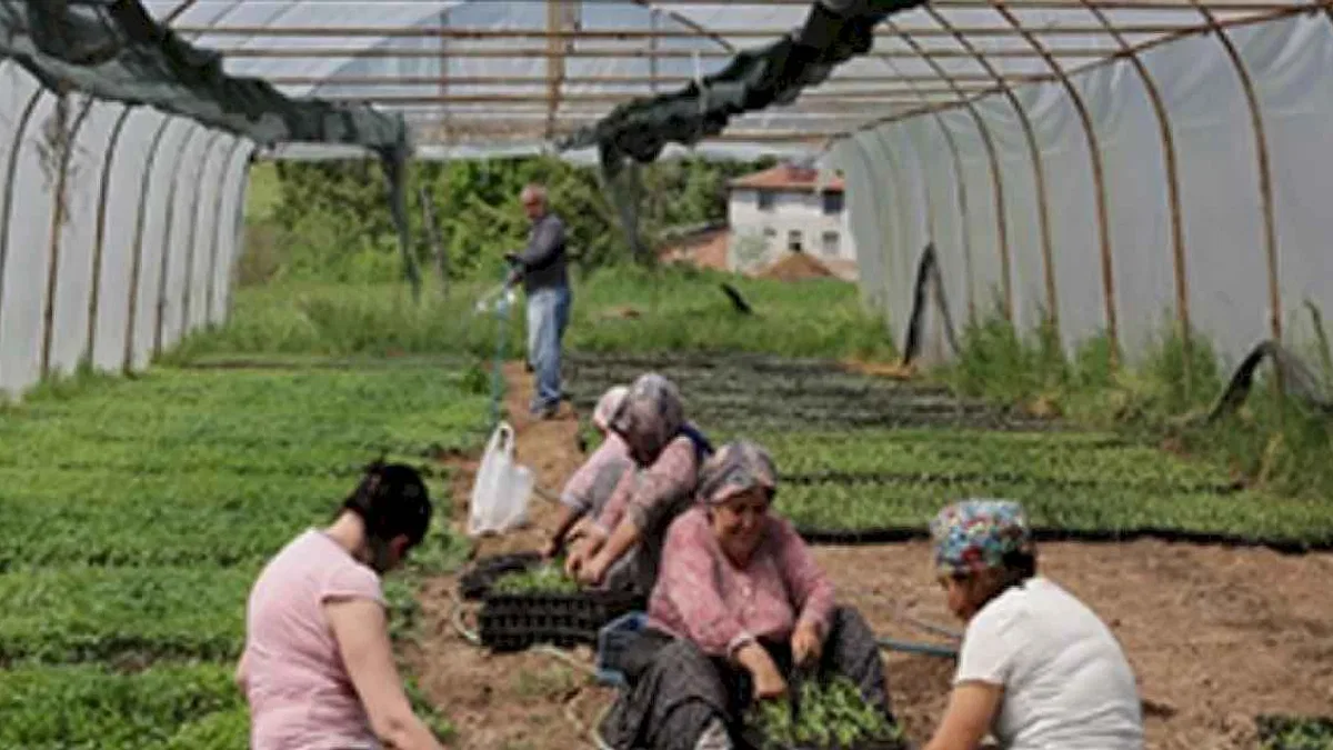 Kocaeli'den yüzde 75 hibeli tarım desteği