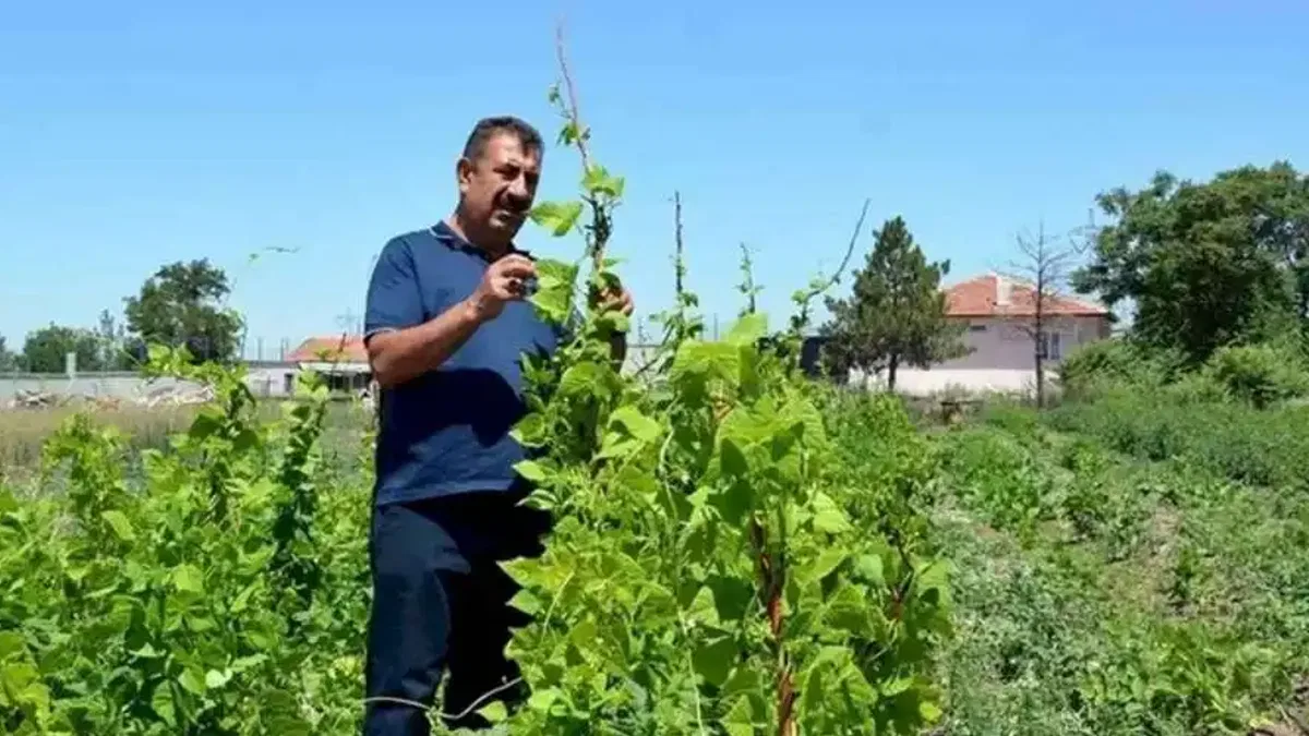 Ziraat Mühendisleri kendi çiftliklerini kurabilmesi için yeni projelerle teşvik edilmeli