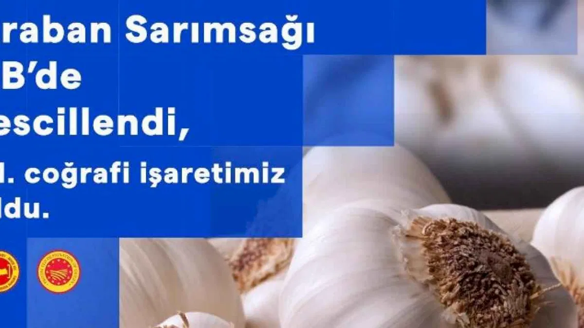 Araban Sarımsağı 21. coğrafi işaret oldu