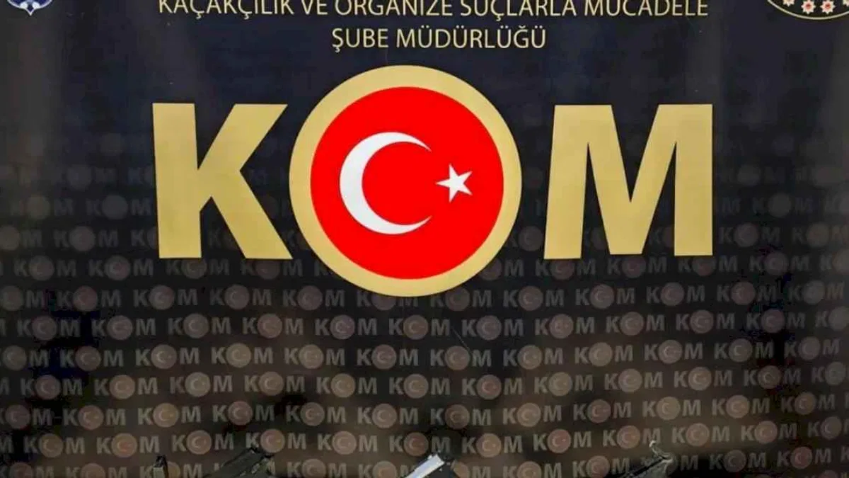 Bilecik'te kaçak silah operasyonu