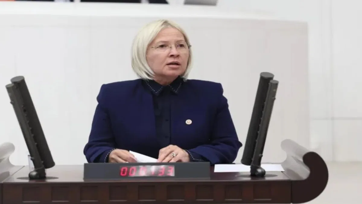 CHP'li Yontar'dan vize serbestliğine sert tepki