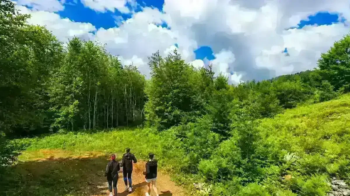 Kocaeli’de sporun her branşı var