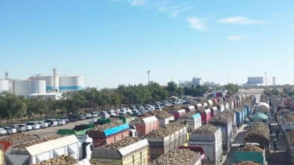 Pancar alım kampanyası başladı
