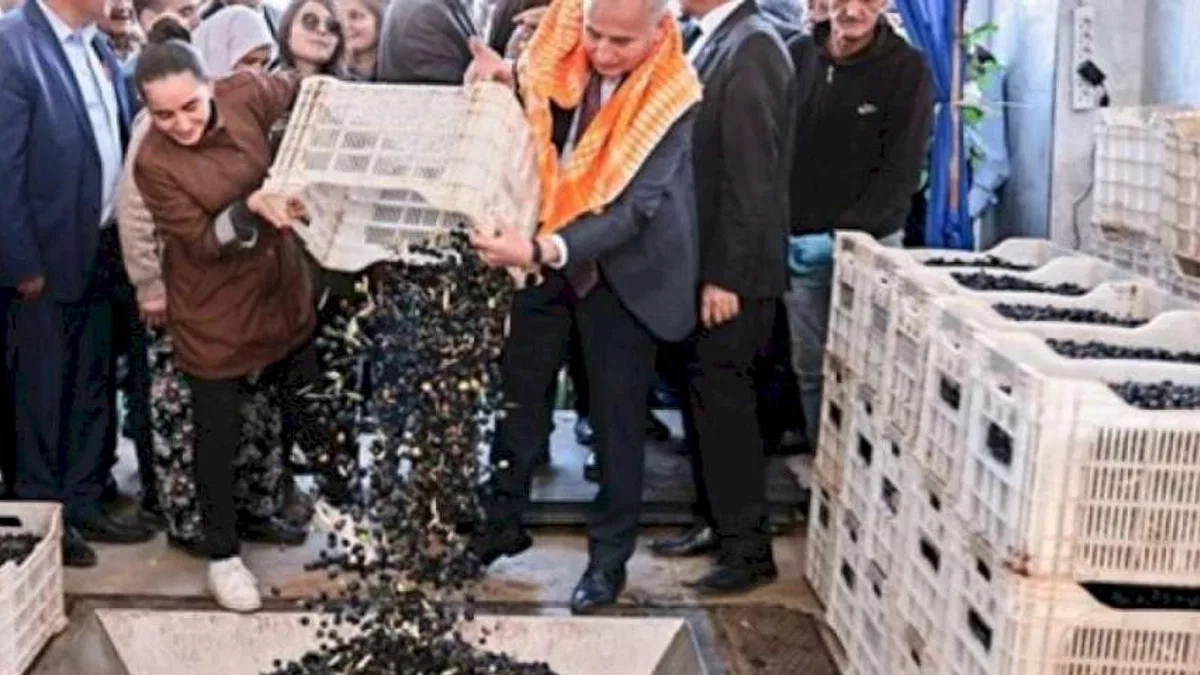 Zeytin üreticilerinin tesis sevinci