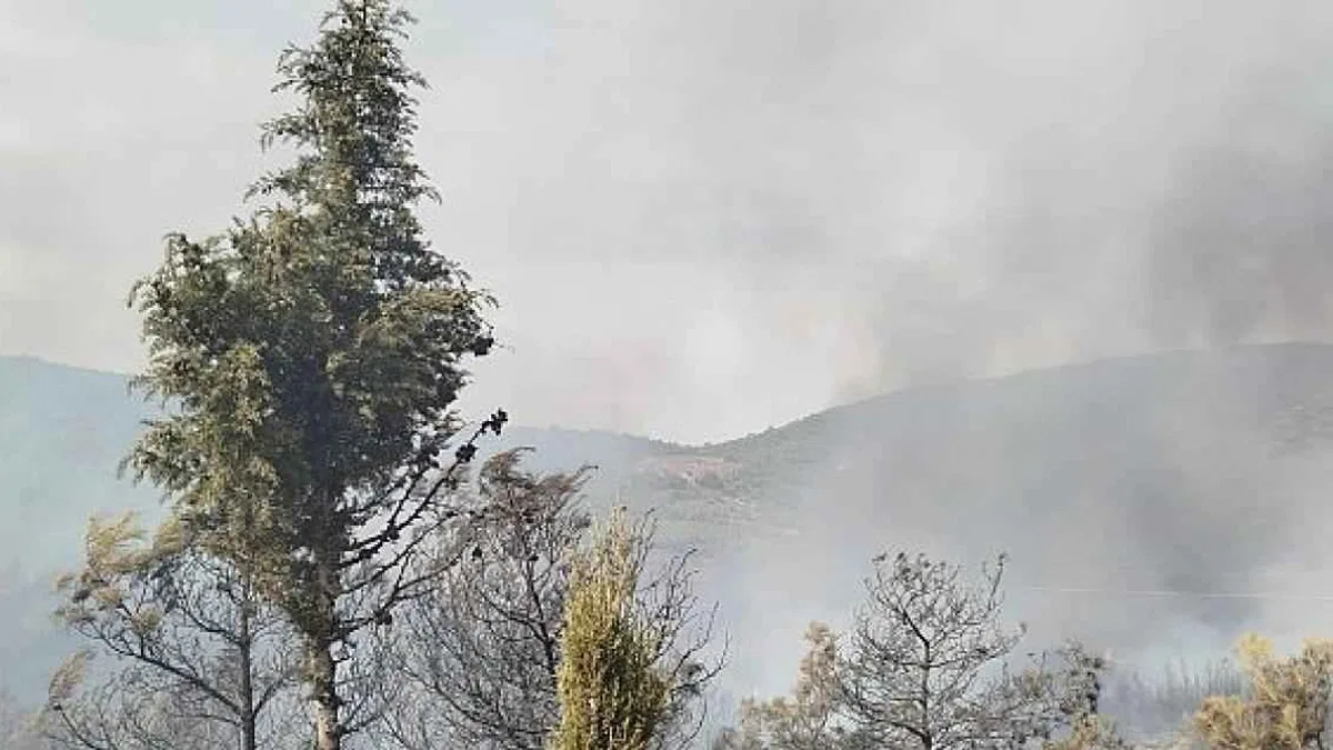 Foça yangını kontrol altına alındı